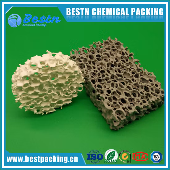 filtre en céramique de mousse de carbure de silicium de 50X50X22 10ppi non